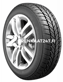 225/55R16 99H XL RXFROST WH01 RoadX