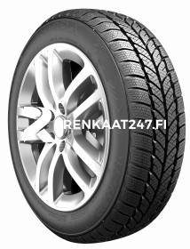 195/55R16 87H FROST WH01 RoadX
